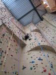 SX24172 Marijn on climbing wall.jpg